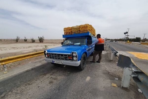 مجوز تأسیس شرکت‌های حمل و نقل بین شهری وانت بار صادر شد