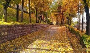 روضه و عزاداری کوچه به کوچه بیجار
