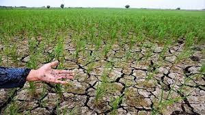 عاشورای حسینی در سنندج