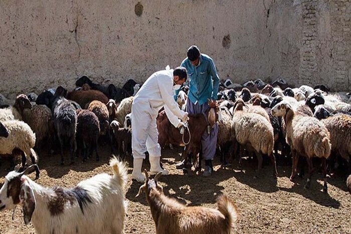 از هر ۱۰۰۰ کردستانی یک نفر بر اثر کرونا جان باخته است