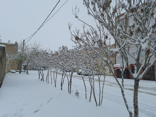 اولین برف پاییزی در بیجار