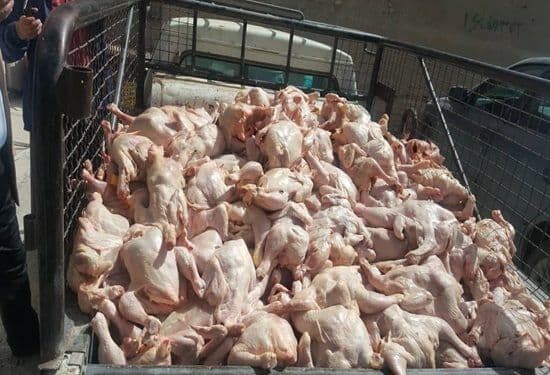 ۲۷۰ میلیارد تومان برای تامین آب شرب پایدار شهر سقز نیاز است