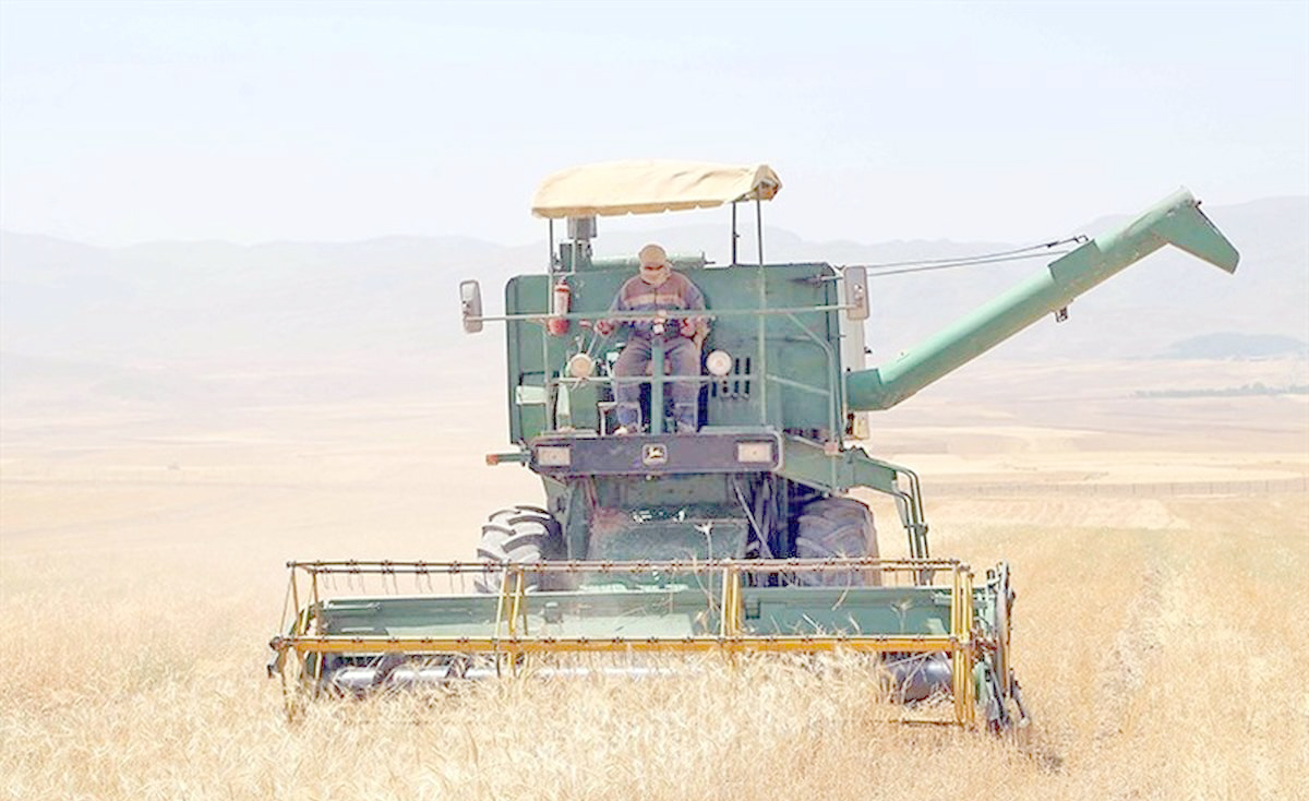 ۳۶ درصد مطالبه گندمکاران کردستانی واریز شده است