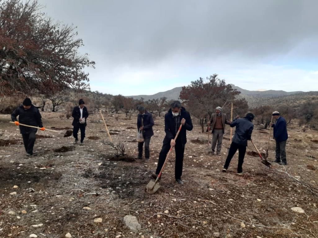 پویش مردمی بذرکاری در  دامنه کوه آبیدر سنندج