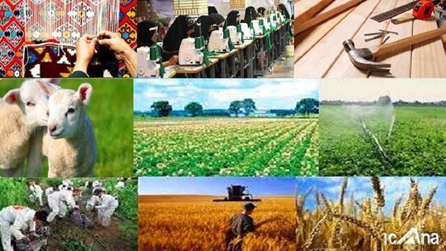 واحدهای برخوردار از تسهیلات اشتغال روستایی در کردستان پایش می‌شود