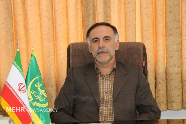 اختلاف زیاد قیمت ارز آزاد و نیمایی، دلیل مشکل برگشت ارز است