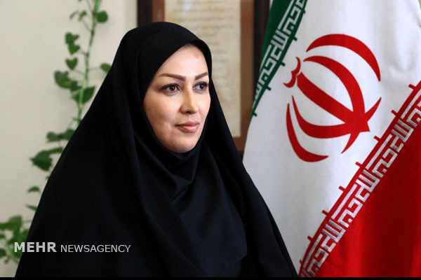 مجوز طرح های آسیب زا در بخش محیط زیست صادر نمی شود