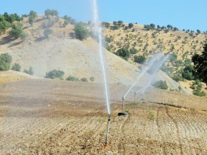 بهار زیبای کردستان