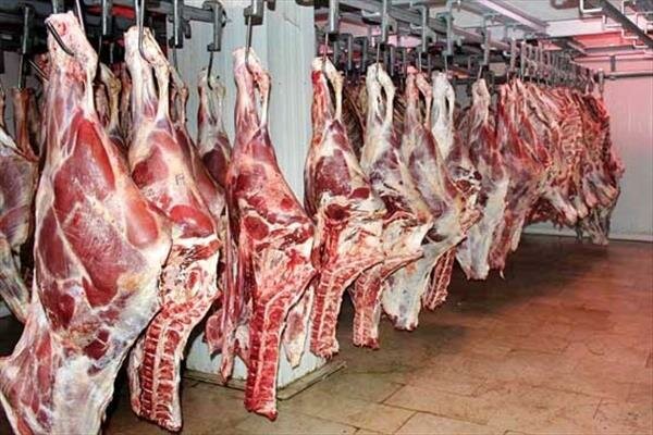 حمایت از تولیدکنندگان نیاز کشور به گوشت قرمز را تامین می کند