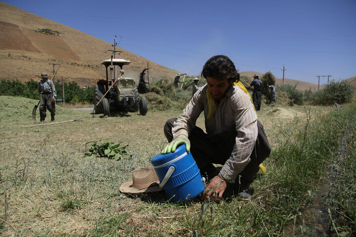 خرمن کوبی