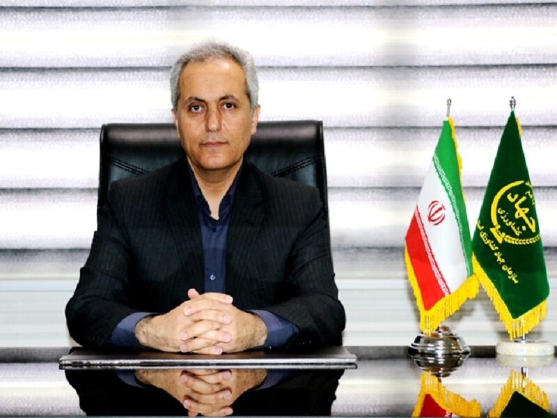 ۵۰۵ هزار تن گندم از گندم کاران کردستانی خریداری شد