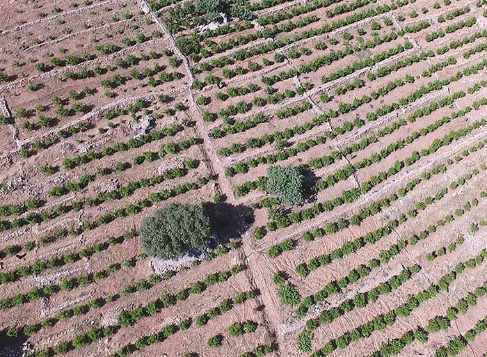 باغِت آباد کردستان