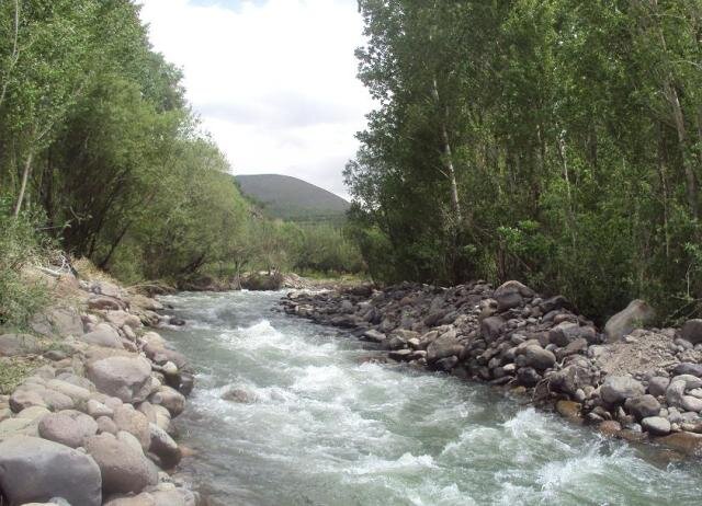 اشتغال و تولید در کردستان با تبدیل ۹۶ هزار هکتار زمین دیم به آبی