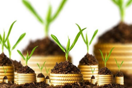 بیش از ۳۰ هزار هکتار از اراضی کردستان بیمه شد