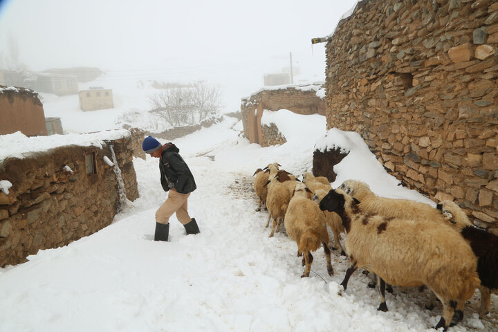 زمستان روستای مَودی زرینه