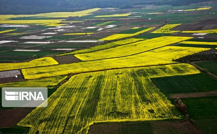 عکس هوایی بیش از یک میلیون هکتار اراضی کردستان گرفته شد