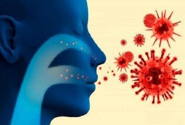 کرونا ۷ کردستانی دیگر را به کام مرگ برد/حال ۱۰۳ نفر وخیم است