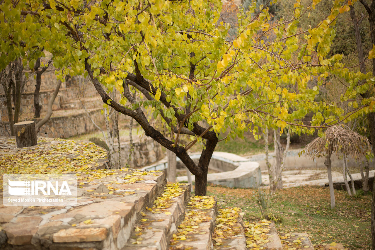زیبایی فصل پاییز