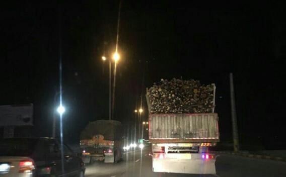 کشف ۱۰ تن چوب قاچاق و اخبار کوتاه دهگلان