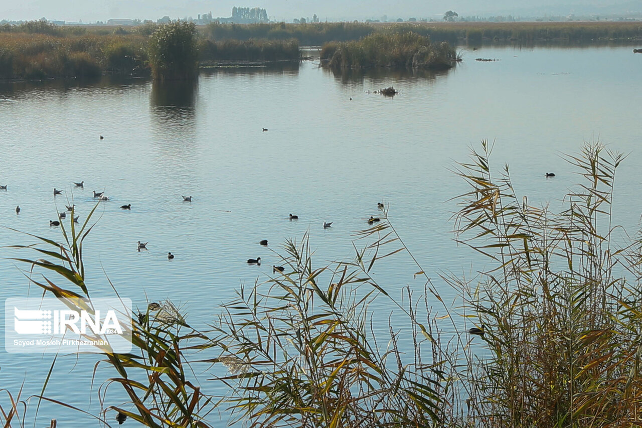 اطلس سیمای طبیعی تالاب بین المللی زریبار تهیه و تدوین شد