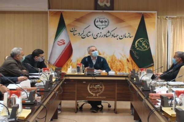 توزیع ۹۸۸۳ تن نهاده دامی در کردستان