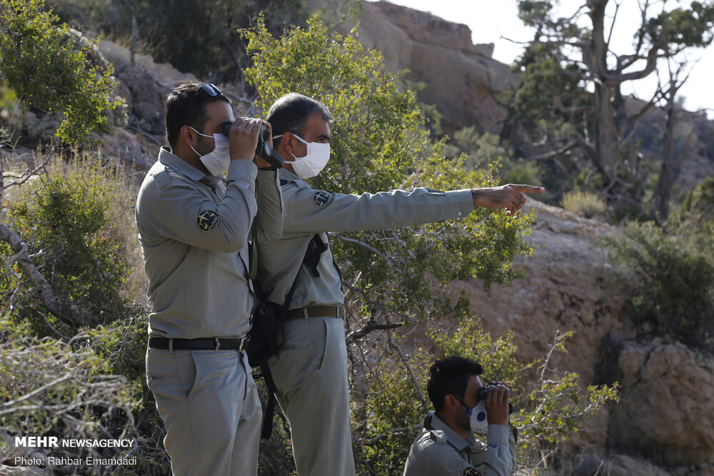شهادت ۱۴۳ محیط‌بان در راستای حفاظت از محیط زیست کشور