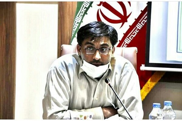 صرفه جویی ۱۰۰ میلیون دلاری با افزایش ۳۳۰ هزار تنی محصولات دیم