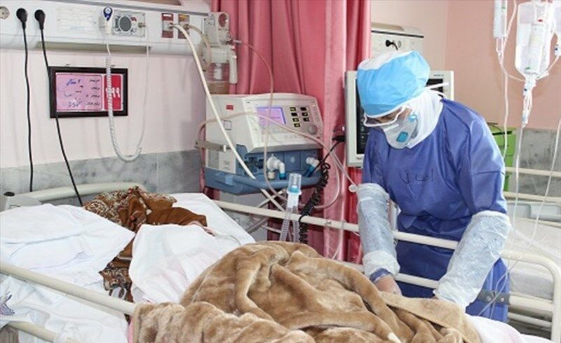 موردی از کرونای انگلیسی در کردستان مشاهده نشده است