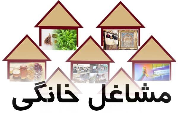 ۲۶۰۷ کردستانی در طرح ملی مشاغل خانگی وارد بازار کار شدند