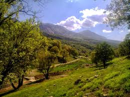۱۰ طرح شاخص حوزه منابع طبیعی در کردستان به بهره‌برداری می‌رسد