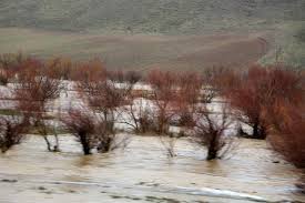 بارندگی ۲ روز گذشته در مناطق کوهستانی سقز و بانه