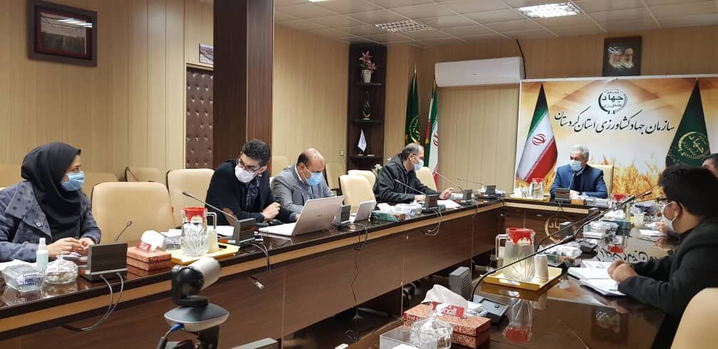بیش از ۱۱ هزار هکتار از اراضی کردستان رفع تداخل شد