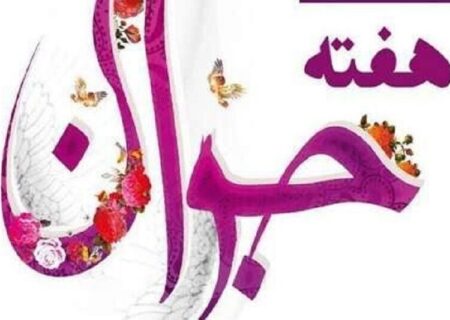 نماینده مجلس: سمن‌ها بازوان قدرتمند دولت هستند