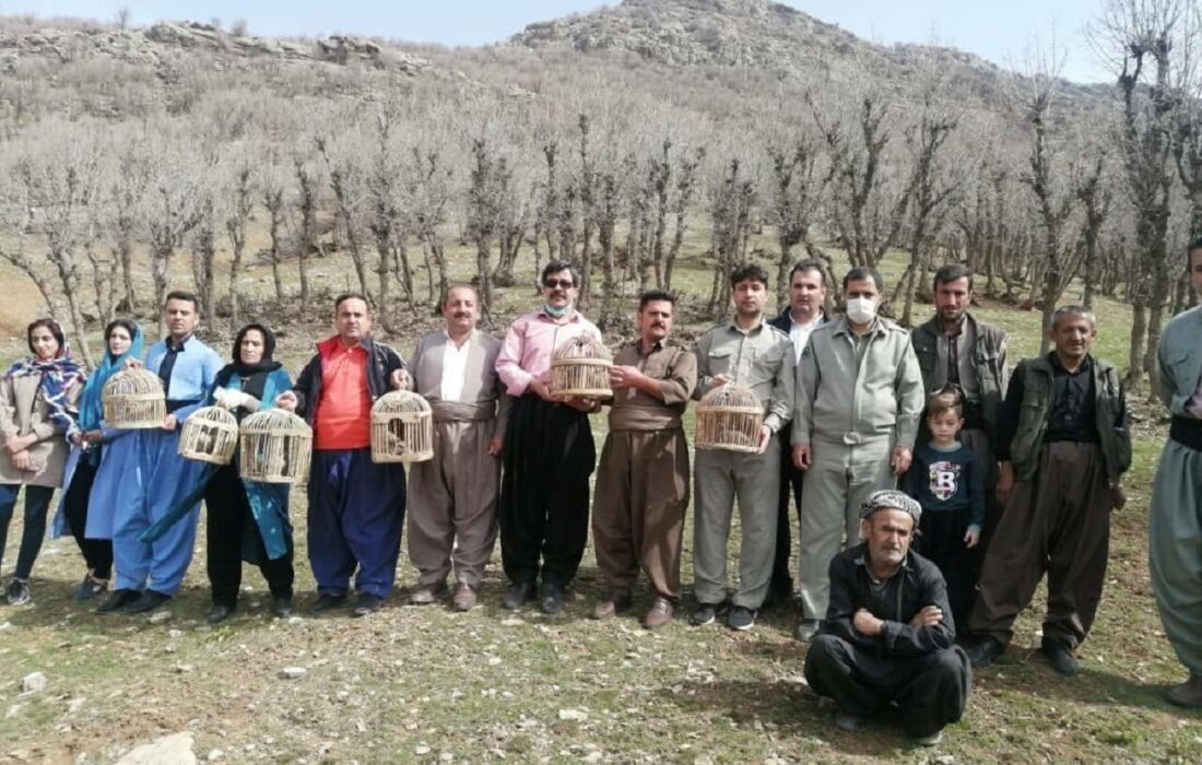 ۶ قطعه کبک در مناطق طبیعی بانه رها سازی شد