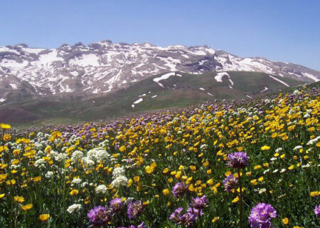 زیبایی های فصل بهار بانه