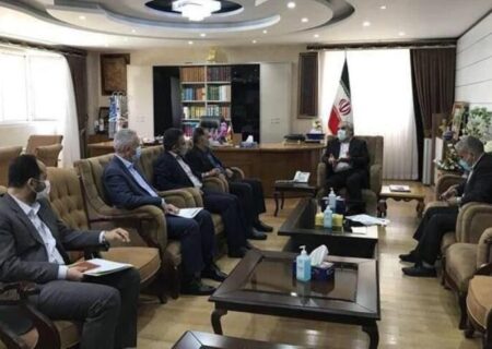 استاندار: قاچاق حجم زیاد جوجه یک روزه از کردستان صحت ندارد