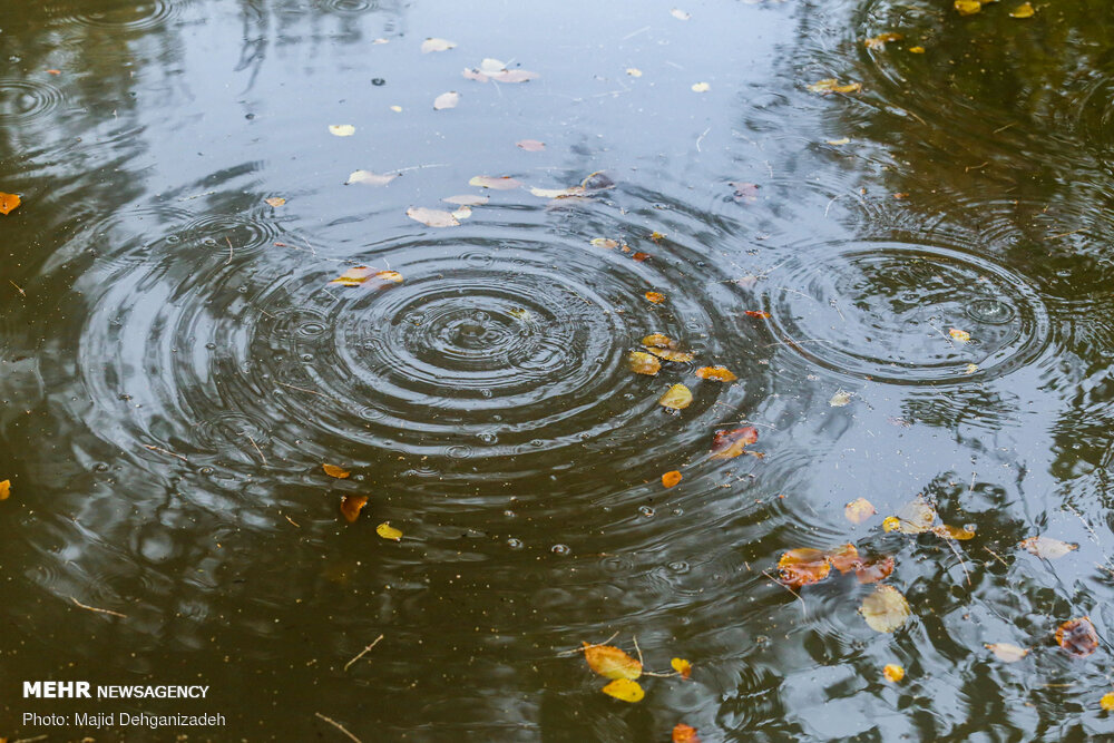 بارش‌های بهاری از عصر روز شنبه در اردبیل آغاز می‌شود