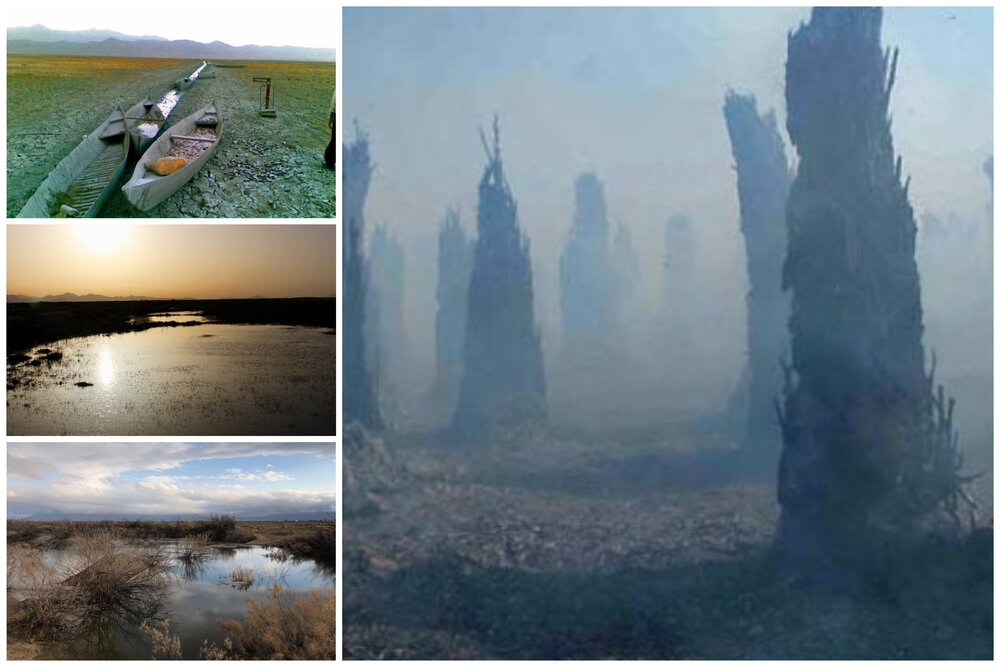 تاثیر خشکی بختگان بر بزرگترین انجیرستان دیم جهان/ آبگیری صفر است