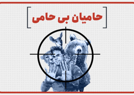 حامیان بی‌حامی