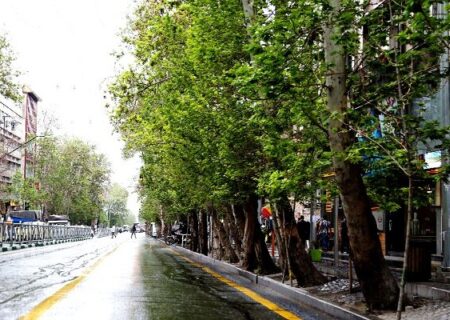 خیابان ولیعصر (عج) در راستای پروژه ثبت جهانی پیش می‌رود