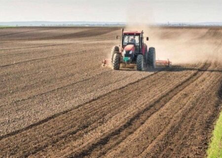 طرح جهش تولید در ۴۱ هزار هکتار از دیم‌زارهای بیجار در حال اجرا است