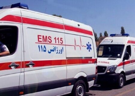فرماندار: زلزله مریوان ۴ نفر را مصدوم کرد