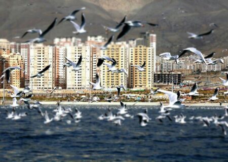 نصب ۵۱۴ تابلوی جدید راهنما و هشداردهنده در مجموعه شهدای خلیج فارس