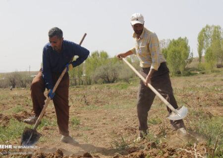 همت کشاورزان کردستانی در روزهای کرونایی