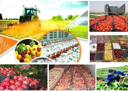 پرداخت ۱۸هزار میلیارد ریال تسهیلات به فعالان بخش کشاورزی کردستان