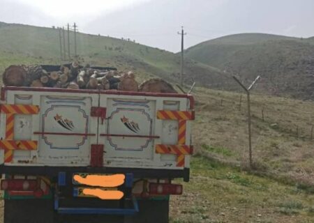 کامیون حامل چوب های قاچاق در منطقه حفاظت شده عبدالرزاق توقیف شد