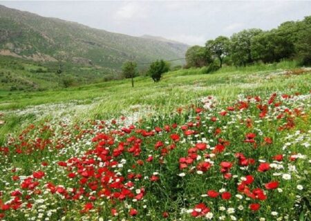 کردستان چشم انتظار سخاوت آسمان