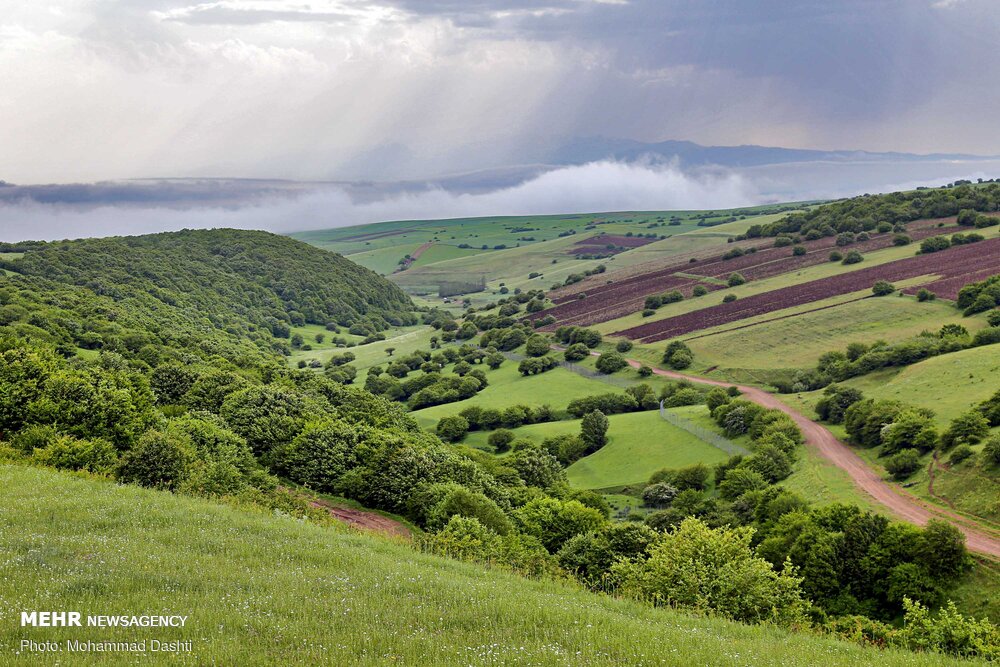 ۱۰۰۰ هکتار از مراتع واگذاری فندقلوی اردبیل فسخ قرارداد شد