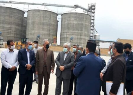 ۳۵۰ هزار تُن محصول در دیمزارهای ۶ استان کشور تولید می‌شود
