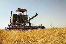 افزایش قیمت خرید تضمینی گندم نشان از پشتیبانی دولت از کشاورزان است